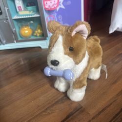 American Girl Dog