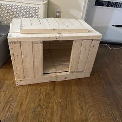 Dog House 