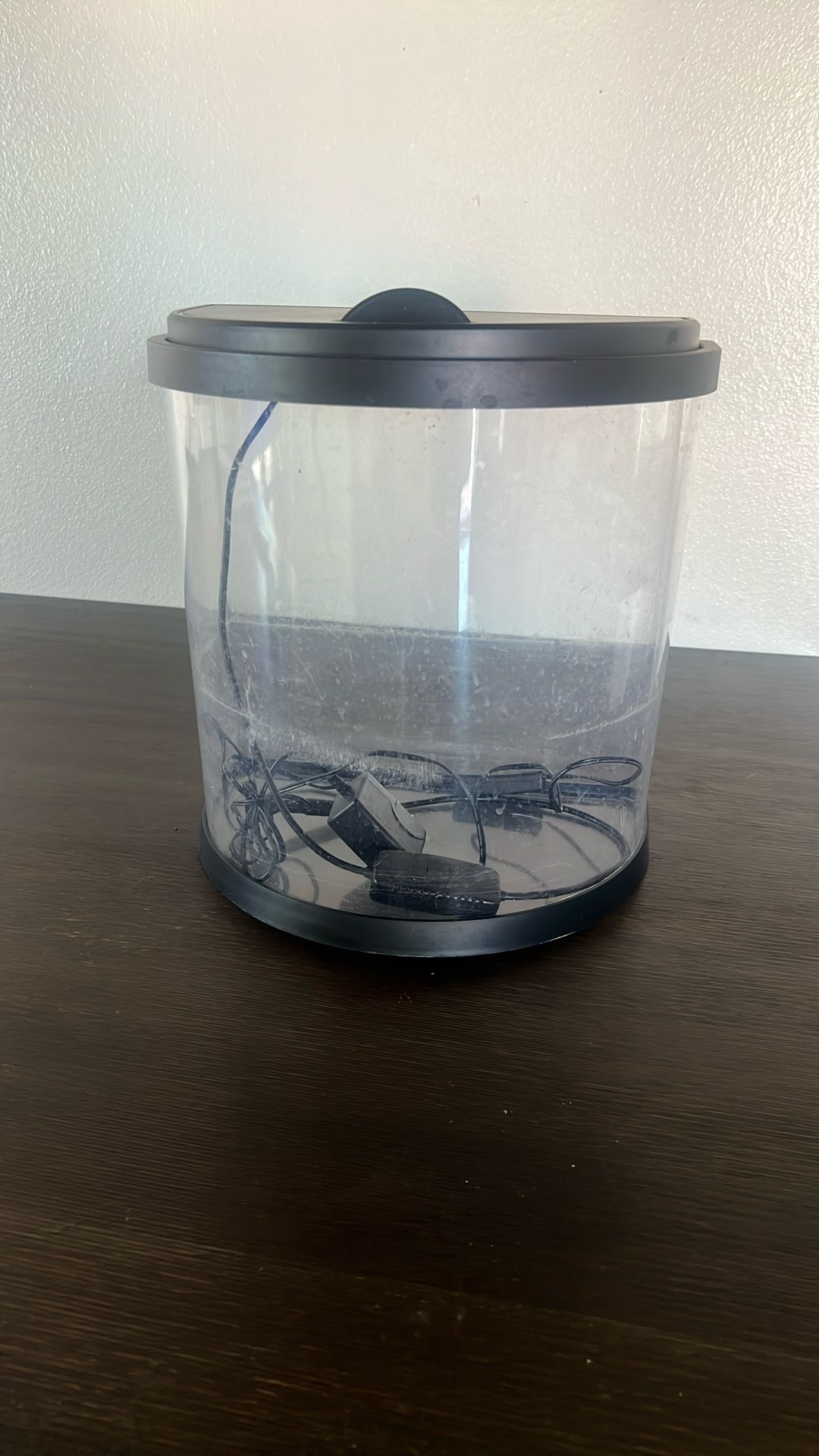 Pecera Con Luz Small Fish Tank With Light