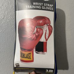 EverLast Sparring Boxing Gloves 12 ounces 