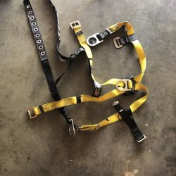 Safety Harness