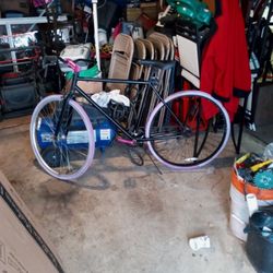 Dyna Craft Racing Bike