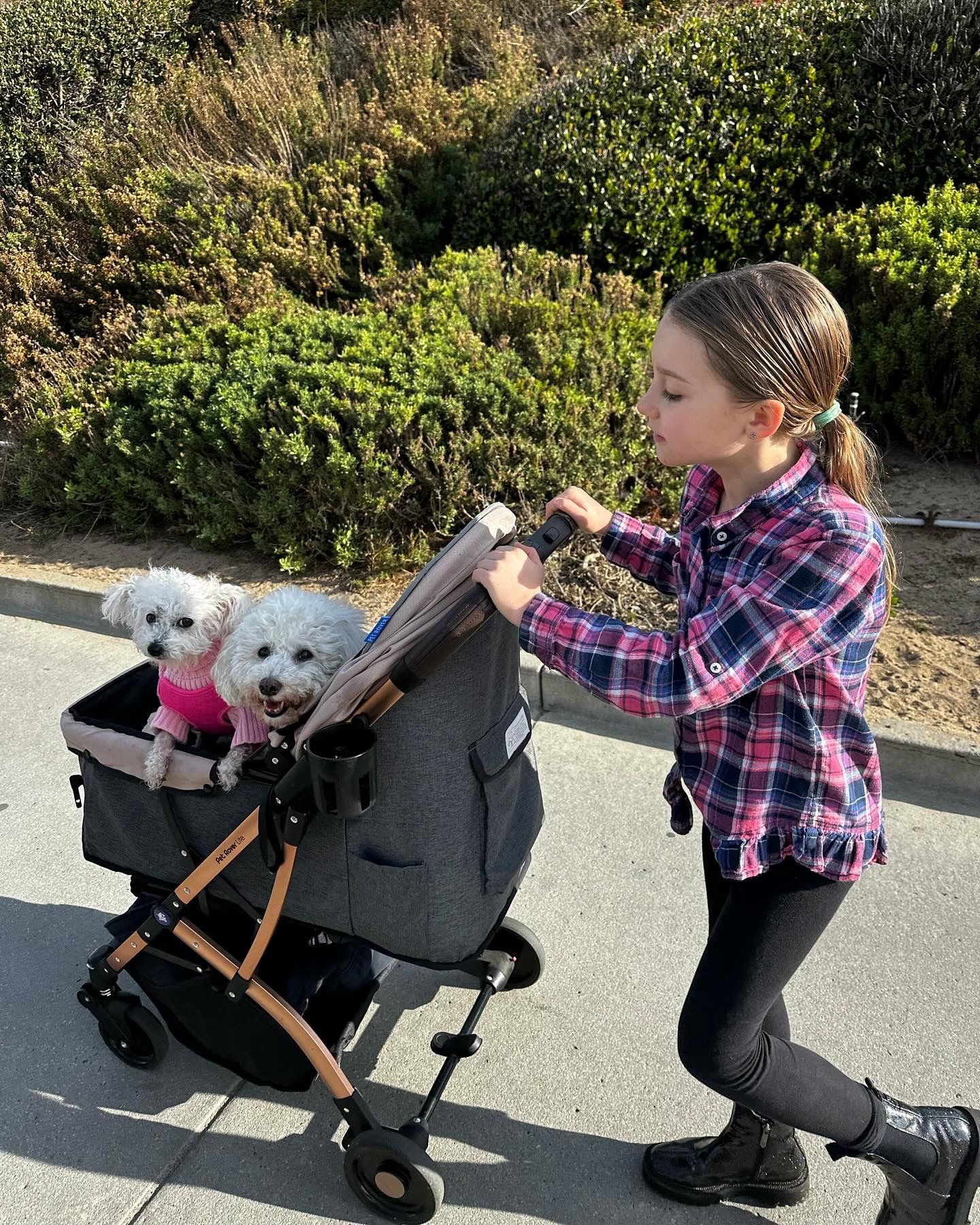 Luxury Dog Stroller