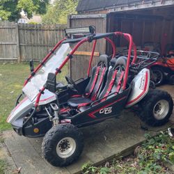 Hammerhead Off Road GTS Platinum 