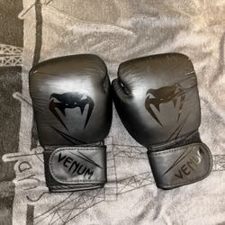 Venom Boxing Gloves 