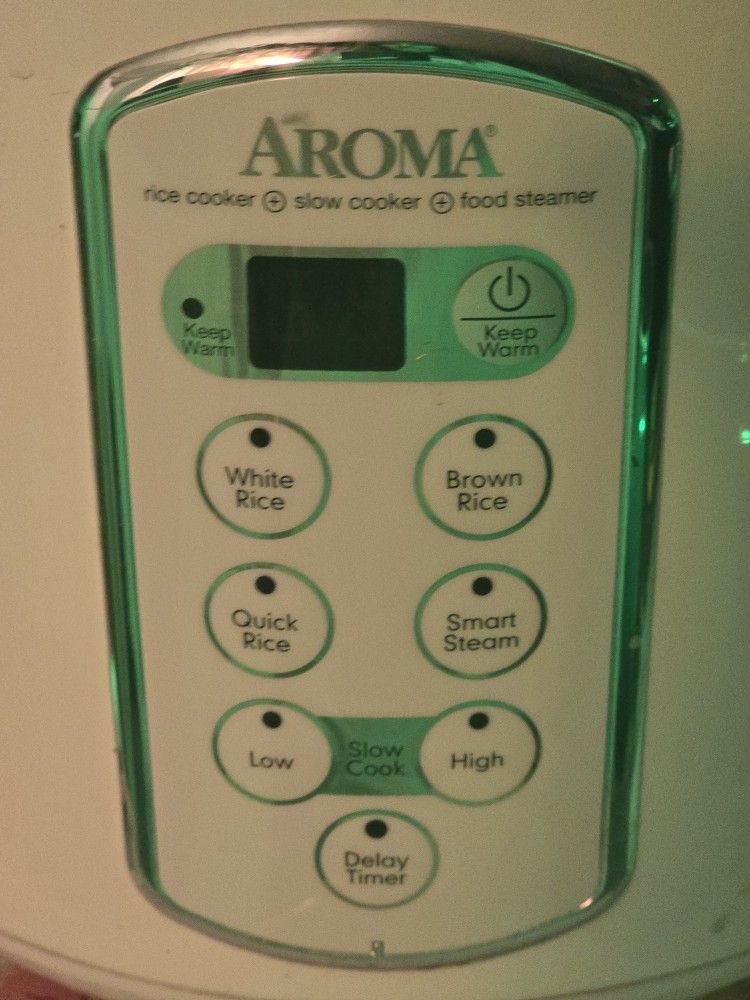 Aroma Crockpot/steamer/ricecooker