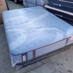 Sealy Queen Size Mattress Firm