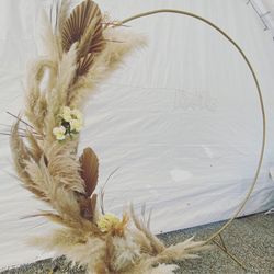PAMPAS Grass 
