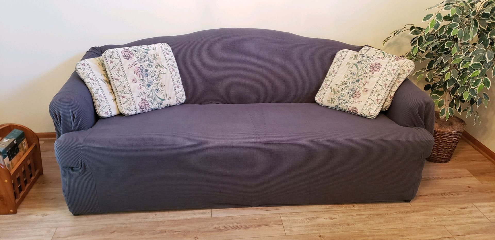 Gently Used Sofa