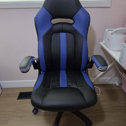 Office/Gaming Chair