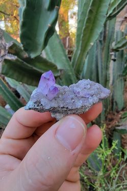 Bright Purple Amethyst Crystals - Minerals