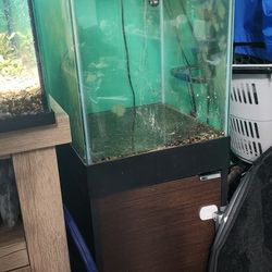 Complete 15gal Aquarium W/ Filter + Stand