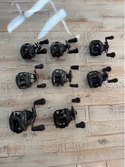 Daiwa Steez, Zillion & Tatula Reels