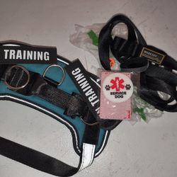 Harness Leash