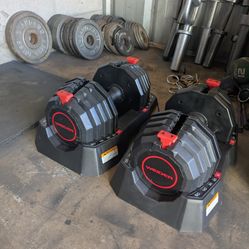 Weider 10-50lb Adjustable Dumbbells