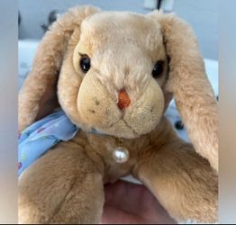 Beautiful Plush Bunny 