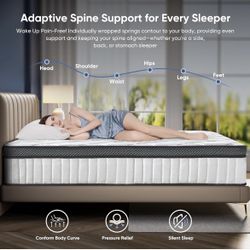 Brand New Mattresses 