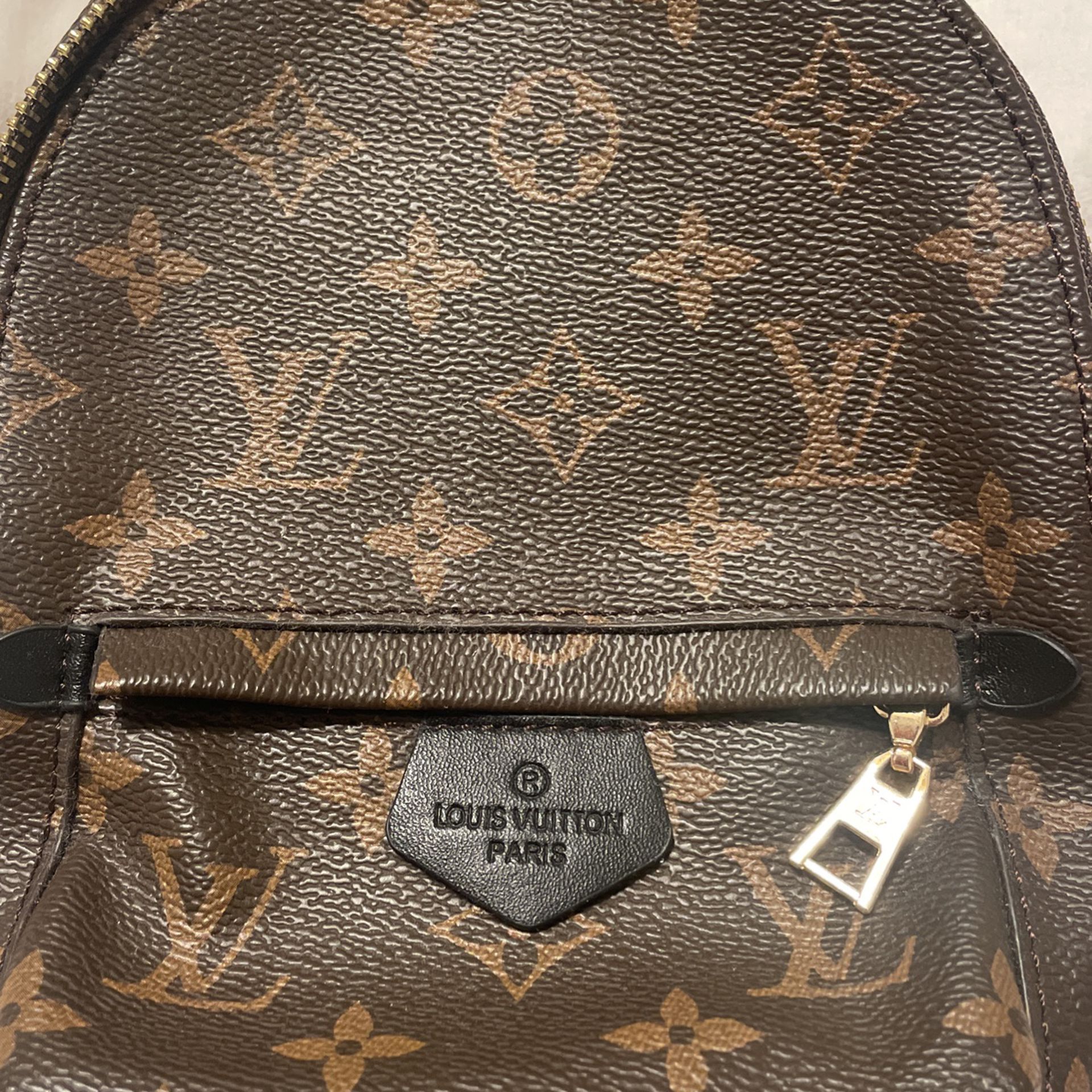 Palm Spring Mini Backpack Dupe for Sale in Johns Creek, GA - OfferUp