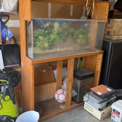 Aquarium 