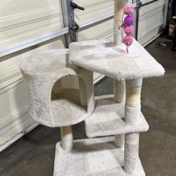 Cat Trees 