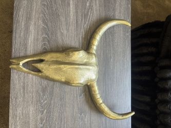 Long Horn Skull Western 20”