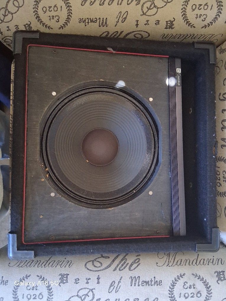 Vox Bass Speaker