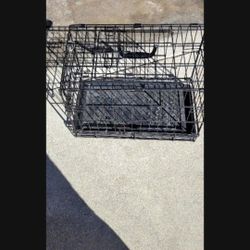 Pet Carrier 