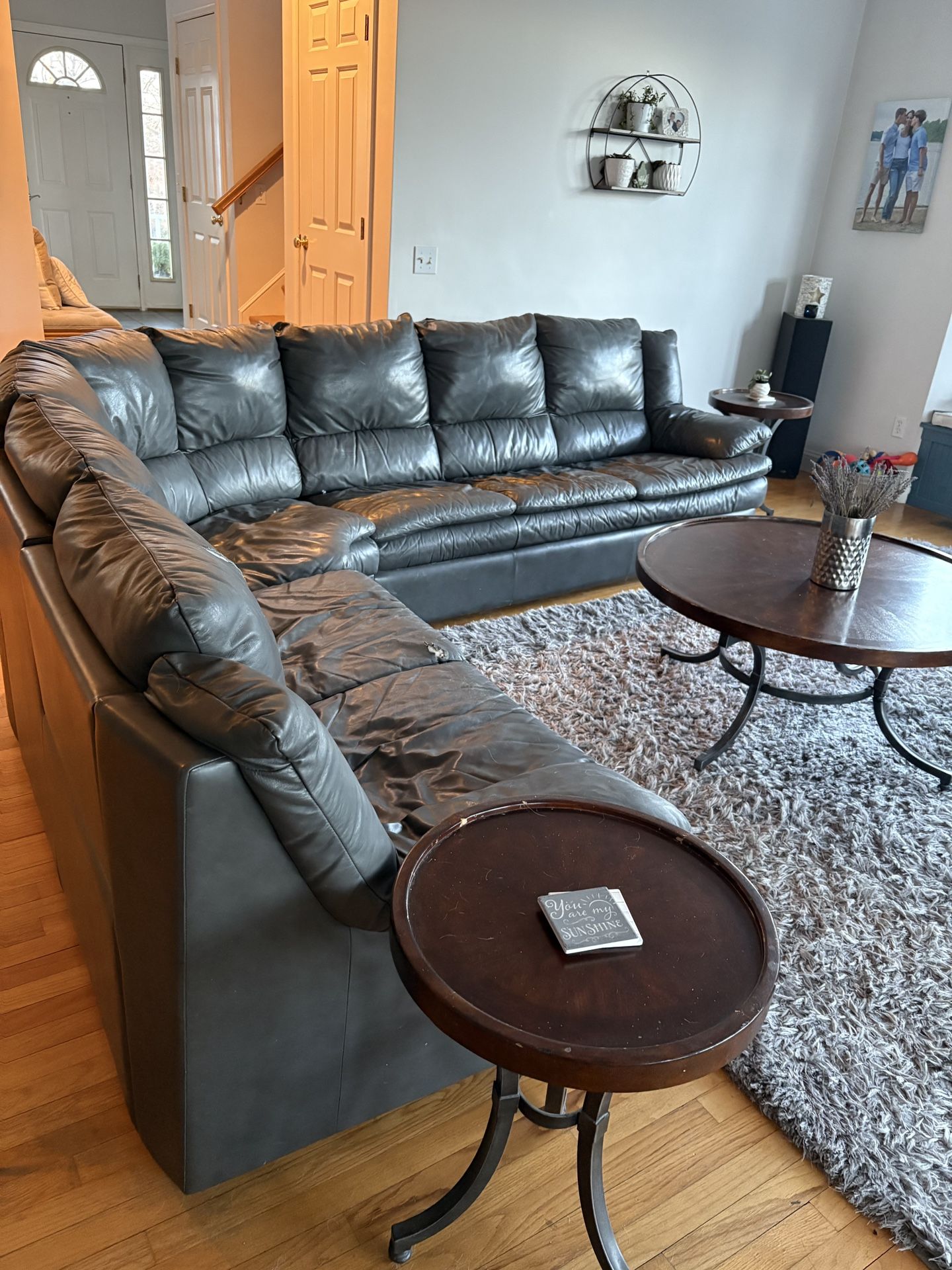 Natuzzi Leather Queen Sleeper Couch