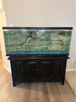 55 gallon fish tank with stand