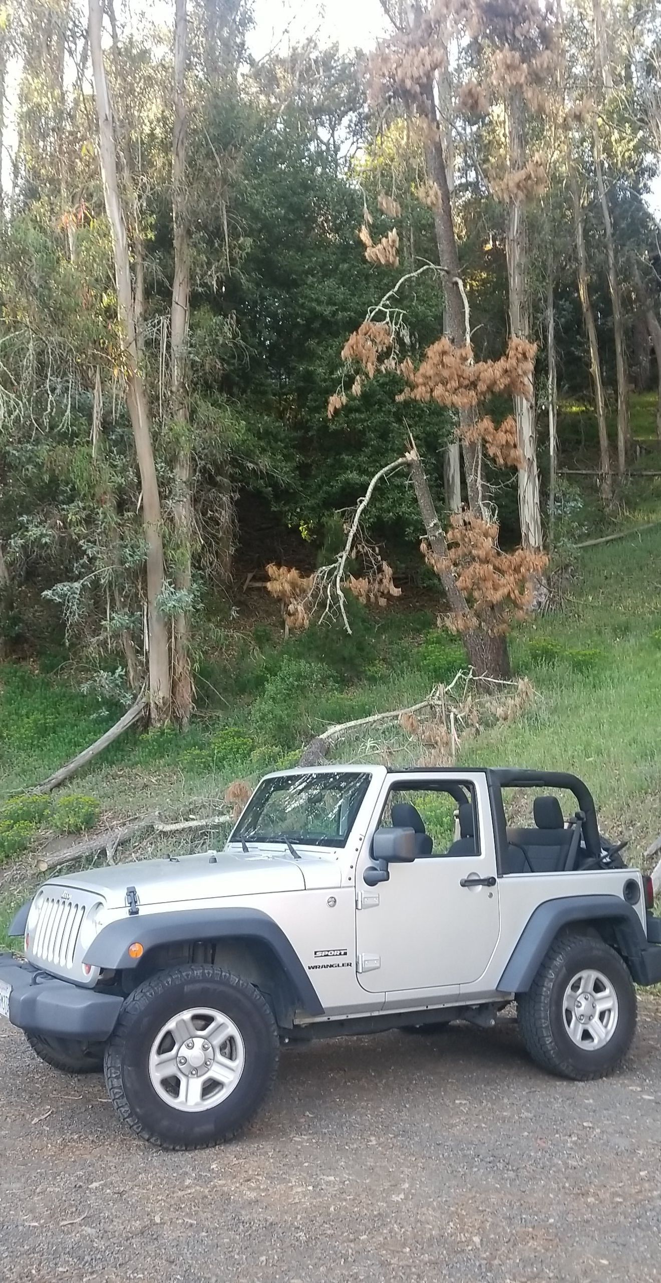 Jeep Wrangler Wheels