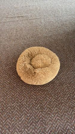 Small furry dog bed, never used!