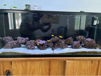 100 Gallon Aquarium
