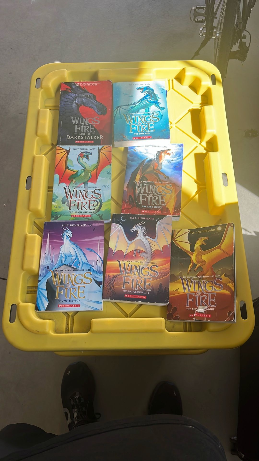 Wings Of Fire Books Set