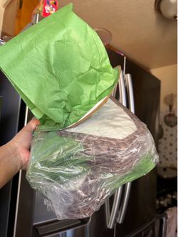 Proteam 3 quart backpack vacuum bags