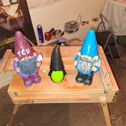 Hand Painted Gnomes 