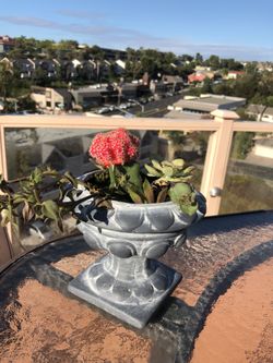 Succulent arrangement with mini urn planter