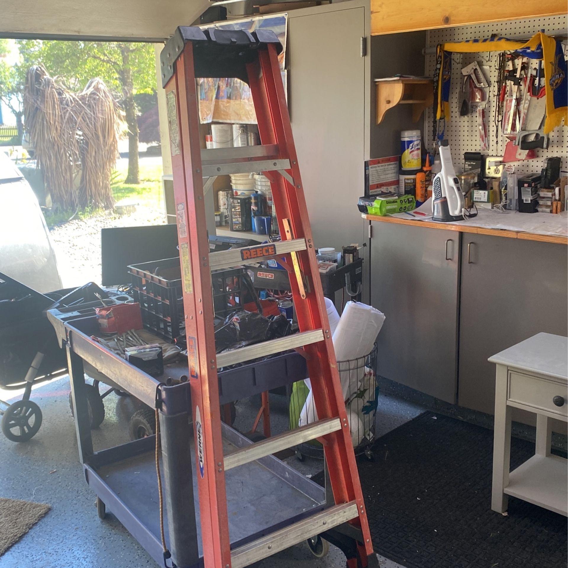 6’ Orange Werner Ladder