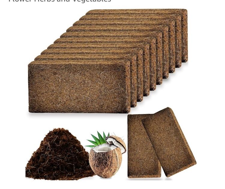 Planting