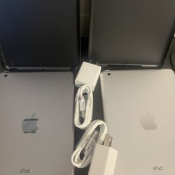 Lot Of 2 - iPad Mini 1 16gb WiFi - Grade A Bundle