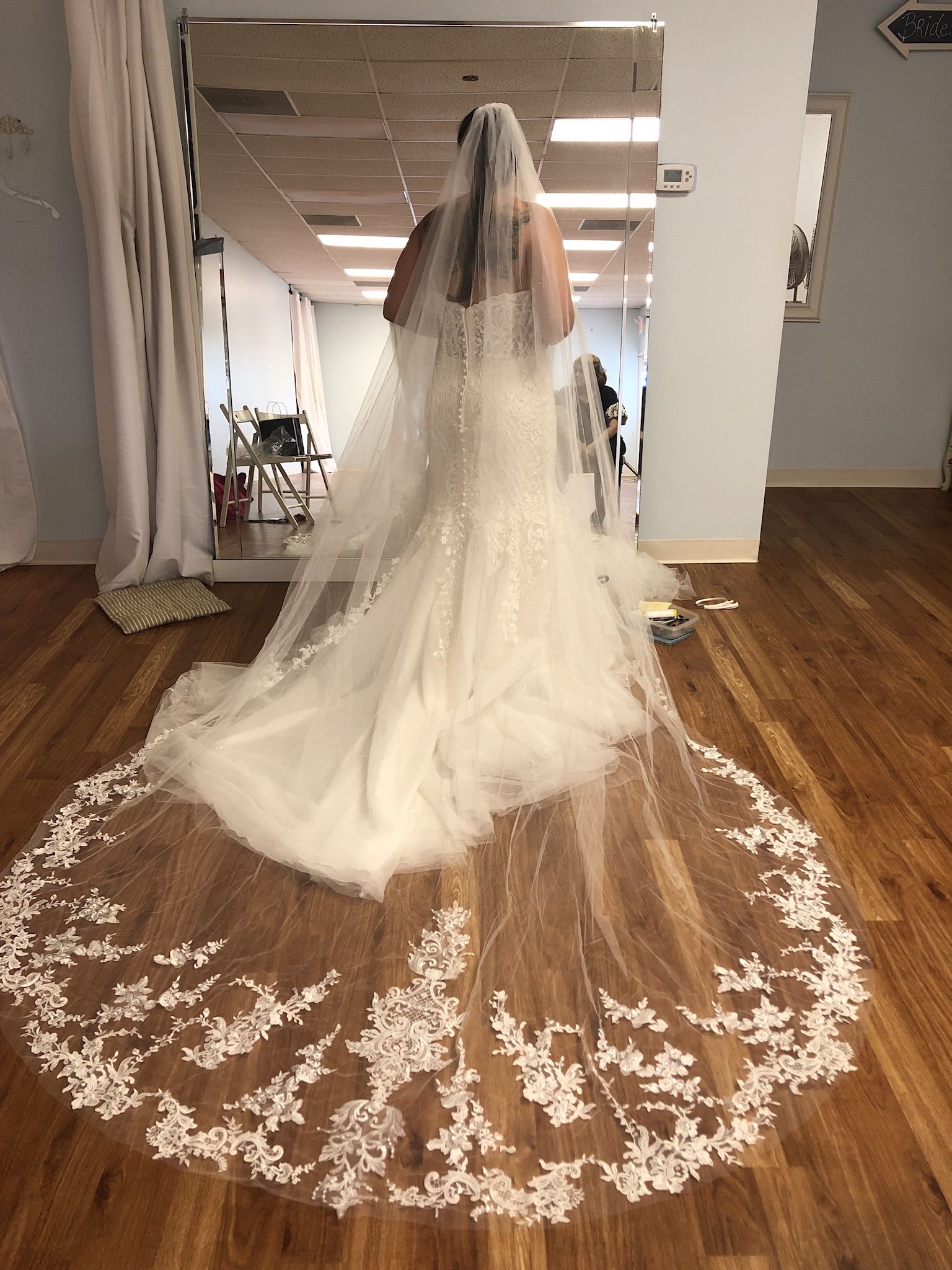 Wedding Dress and/or Veil 