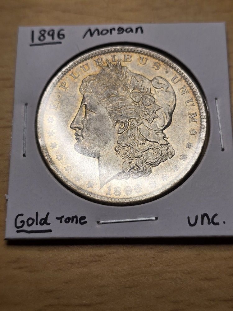 1896 Morgan Silver Dollar