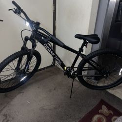 Adult Mountain Bike