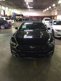 2015 FORD MUSTANG V6 40K título limpio.