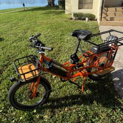 E bike Electric Bike Rad Bike Rad Power Bikes E-bike Bicycle 