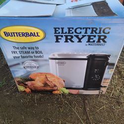 electric fryer