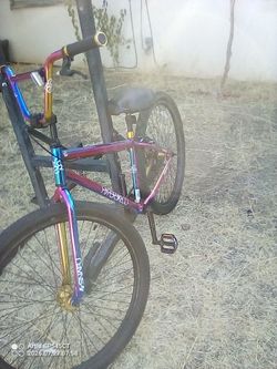 29 in hypo Bikeo