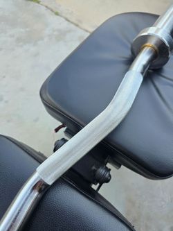 Olympic Curl Bar