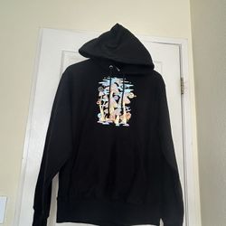 Champion Hoodie 