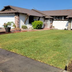 Sod Fresh San Agustín