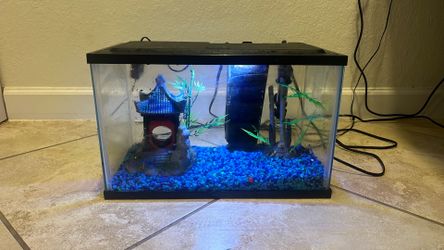 Fish tank